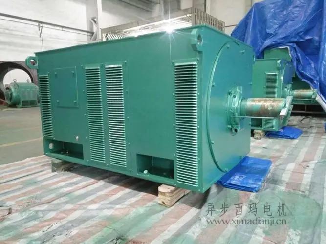 西瑪電機(jī)Y5603-10 560KW 10KV<a href=http://m.xzlcnt.com/gysxybdj.html target='_blank'>高壓電機(jī)</a> 西瑪電機(jī)Y5603-10 560KW <a href=http://m.xzlcnt.com/new/new-47-621.html target='_blank'><a href=http://m.xzlcnt.com/new_tags_225.html target='_blank'>10kv高壓電機(jī)</a></a>