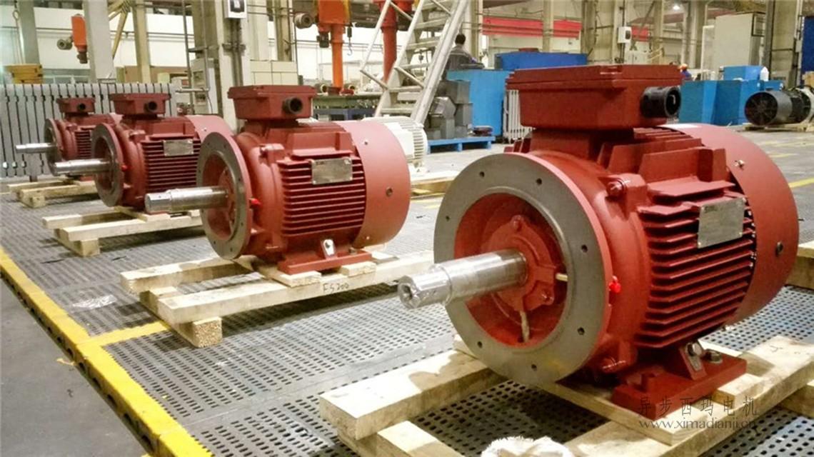 1683184849969846.jpg 1490170580561693.jpg